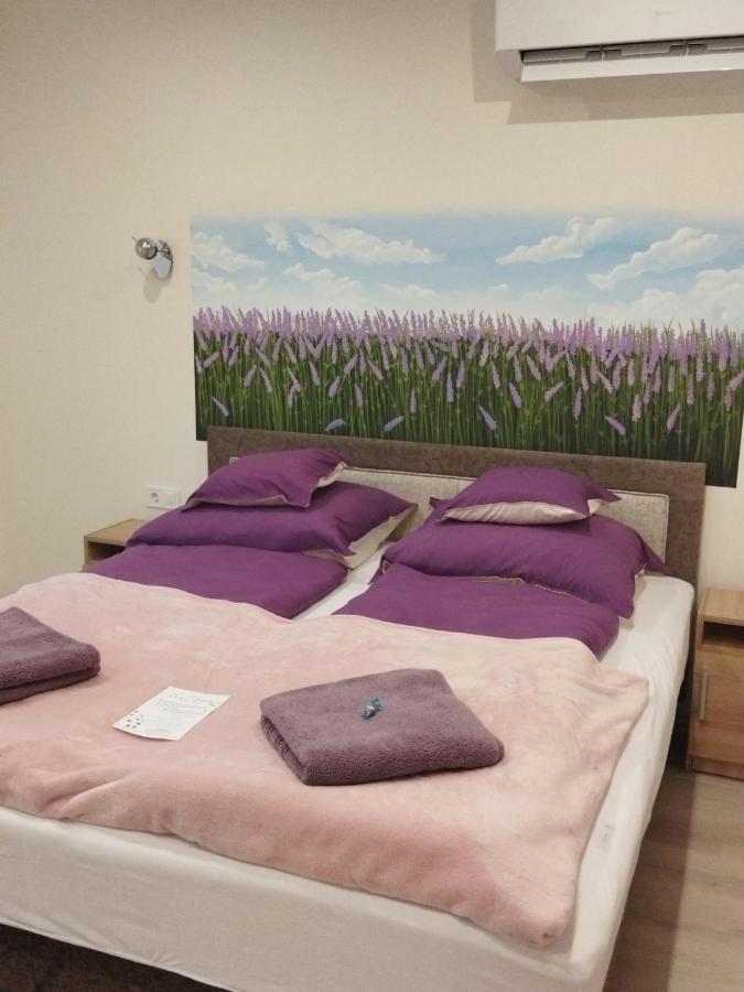 Csengo Vendeghaz Hotel Kiskoros Bagian luar foto
